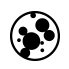 Mold